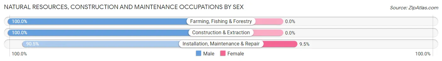 Natural Resources, Construction and Maintenance Occupations by Sex in Zip Code 16341