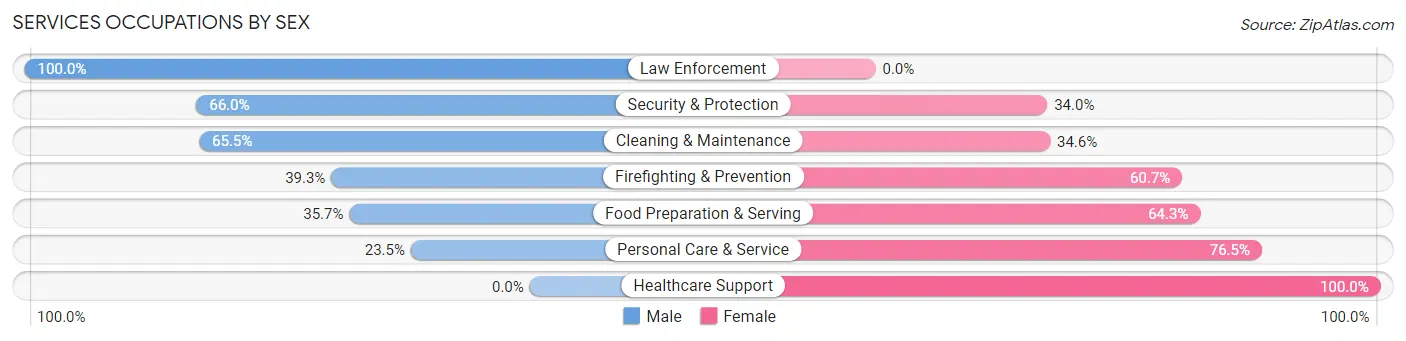 Services Occupations by Sex in Zip Code 16345