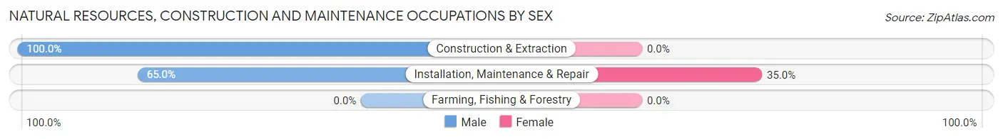 Natural Resources, Construction and Maintenance Occupations by Sex in Zip Code 16346