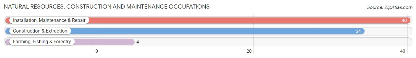 Natural Resources, Construction and Maintenance Occupations in Zip Code 16371