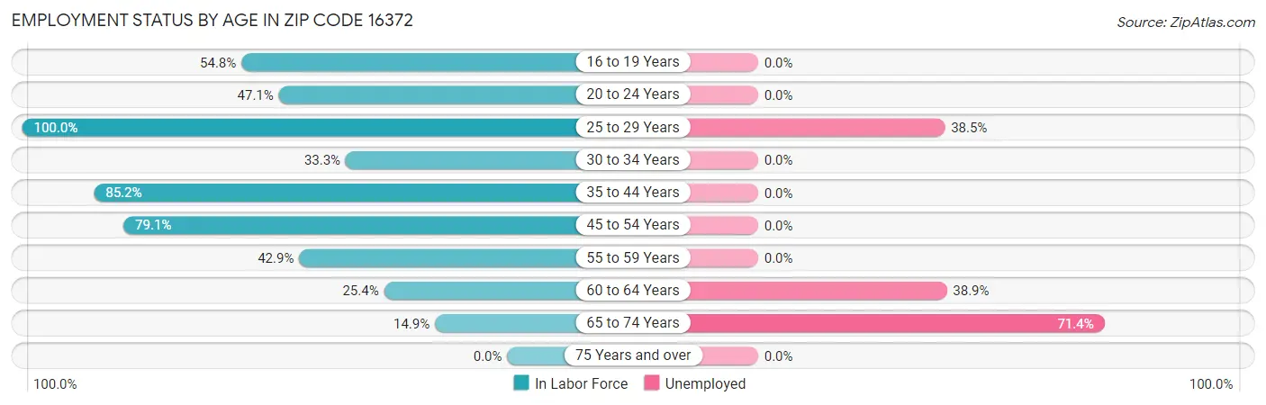 Employment Status by Age in Zip Code 16372