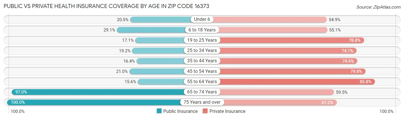 Public vs Private Health Insurance Coverage by Age in Zip Code 16373