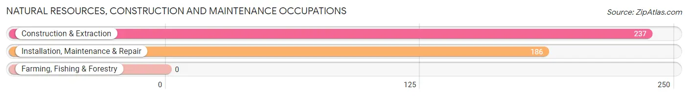 Natural Resources, Construction and Maintenance Occupations in Zip Code 16511