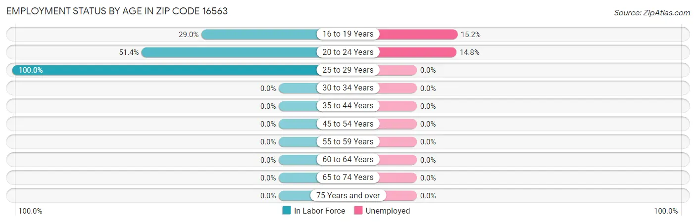 Employment Status by Age in Zip Code 16563