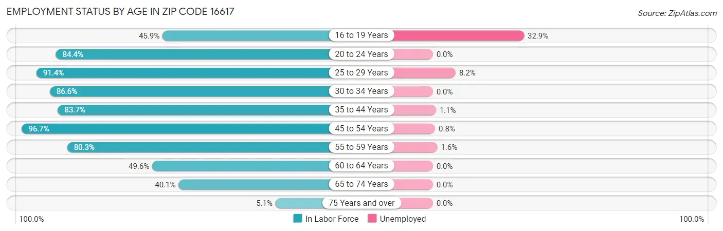 Employment Status by Age in Zip Code 16617