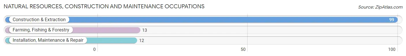 Natural Resources, Construction and Maintenance Occupations in Zip Code 16617