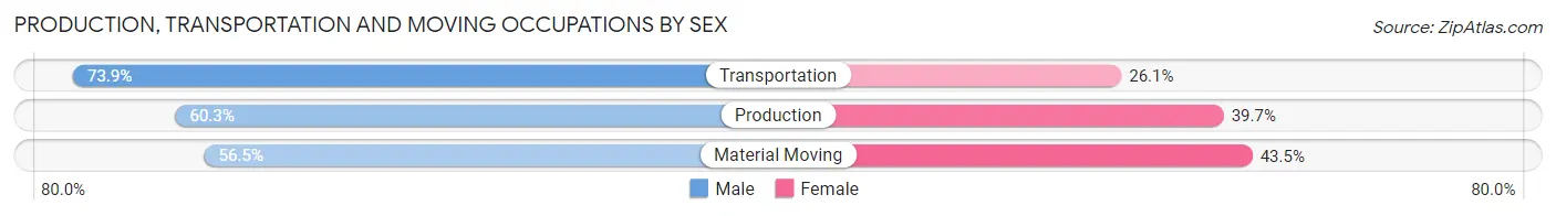 Production, Transportation and Moving Occupations by Sex in Zip Code 16669