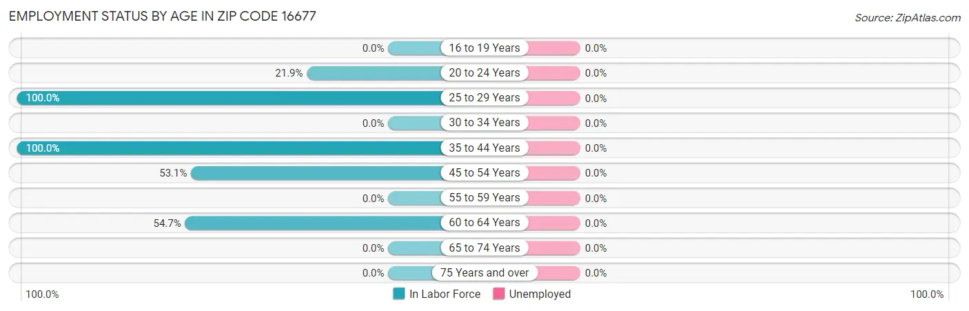 Employment Status by Age in Zip Code 16677