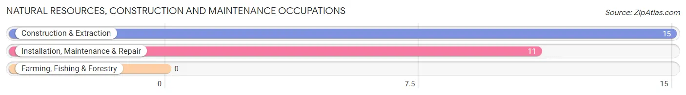 Natural Resources, Construction and Maintenance Occupations in Zip Code 16683