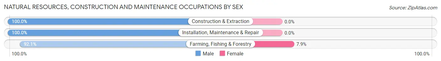 Natural Resources, Construction and Maintenance Occupations by Sex in Zip Code 16686
