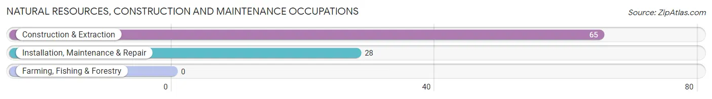 Natural Resources, Construction and Maintenance Occupations in Zip Code 16726