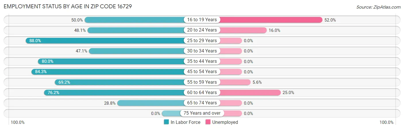 Employment Status by Age in Zip Code 16729