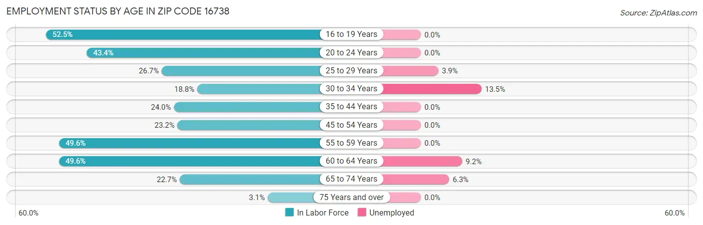 Employment Status by Age in Zip Code 16738