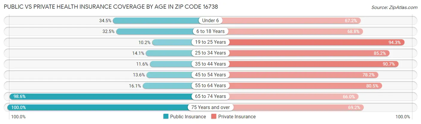 Public vs Private Health Insurance Coverage by Age in Zip Code 16738