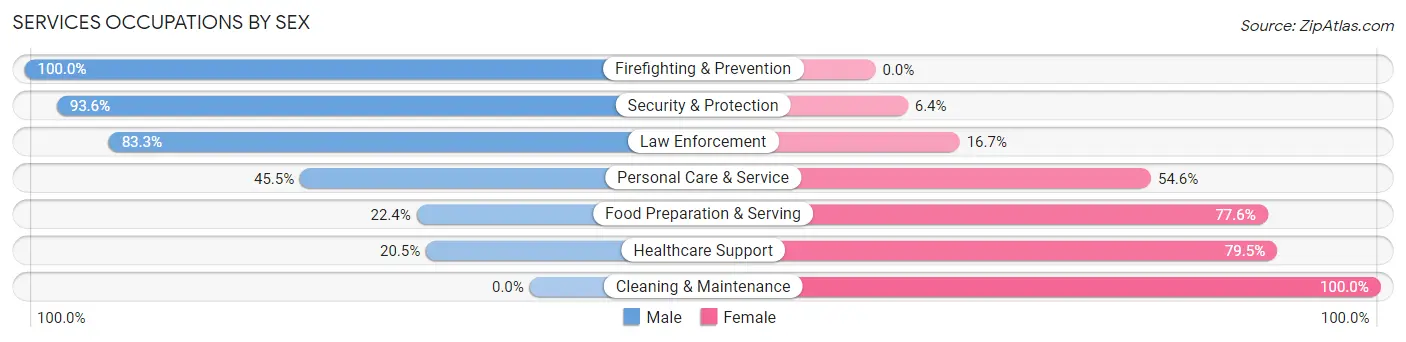 Services Occupations by Sex in Zip Code 16743