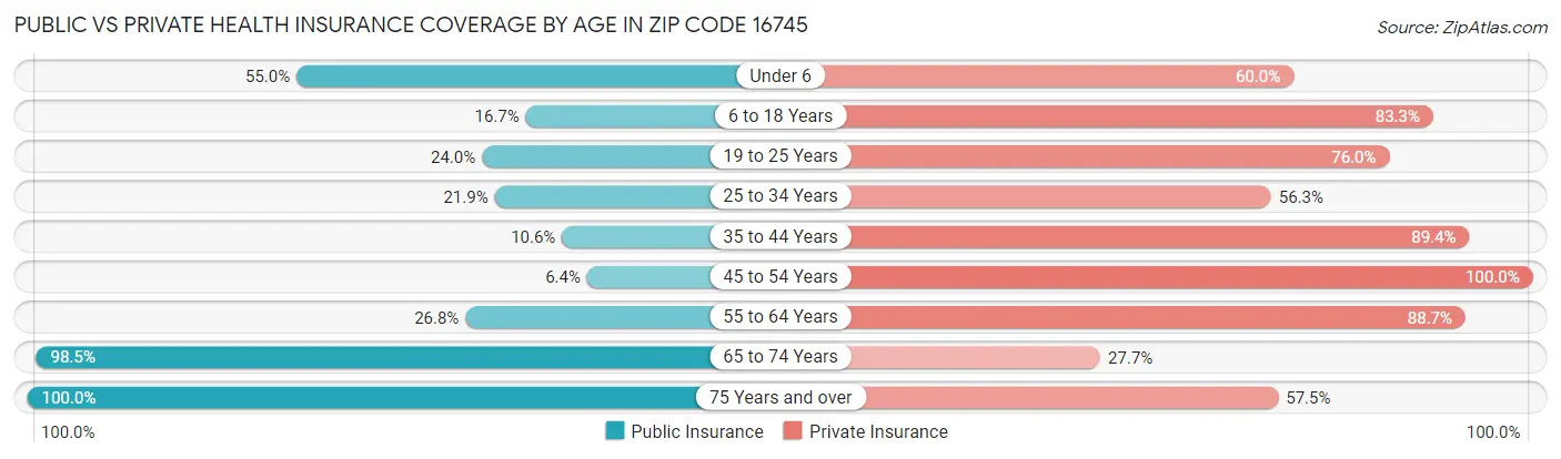 Public vs Private Health Insurance Coverage by Age in Zip Code 16745