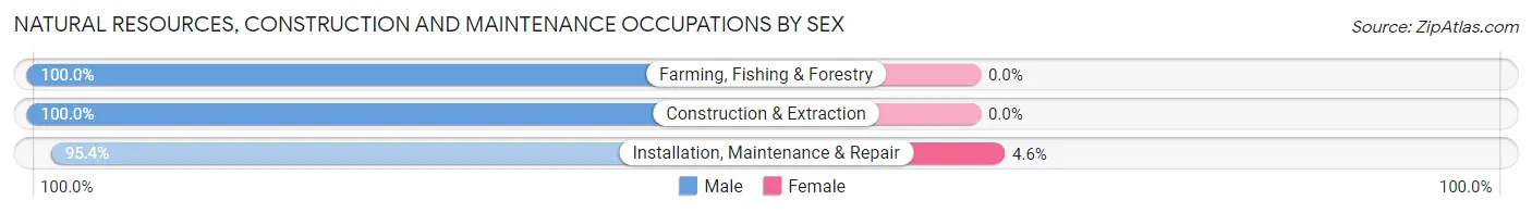 Natural Resources, Construction and Maintenance Occupations by Sex in Zip Code 16749