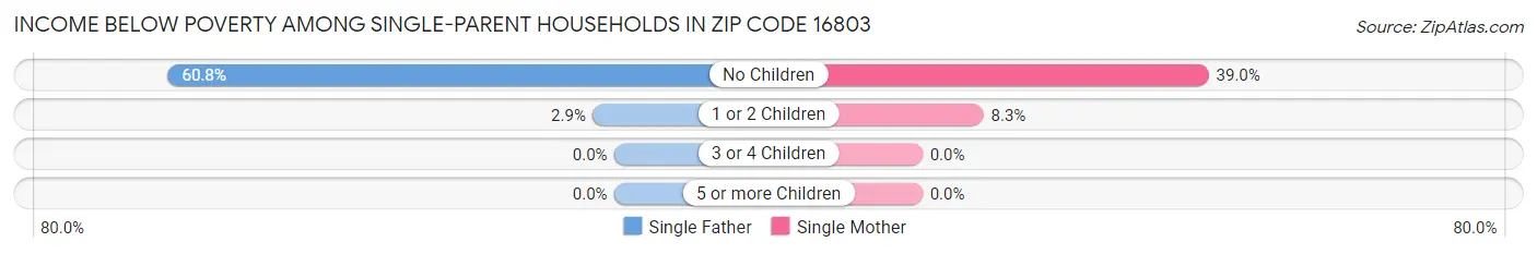 Income Below Poverty Among Single-Parent Households in Zip Code 16803