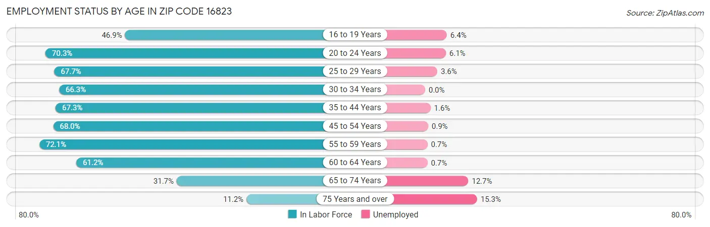 Employment Status by Age in Zip Code 16823