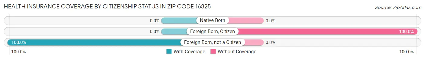 Health Insurance Coverage by Citizenship Status in Zip Code 16825