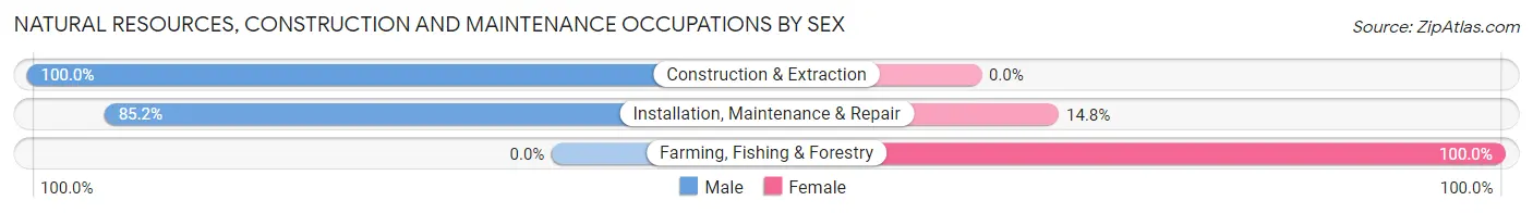 Natural Resources, Construction and Maintenance Occupations by Sex in Zip Code 16828