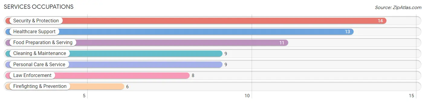 Services Occupations in Zip Code 16829