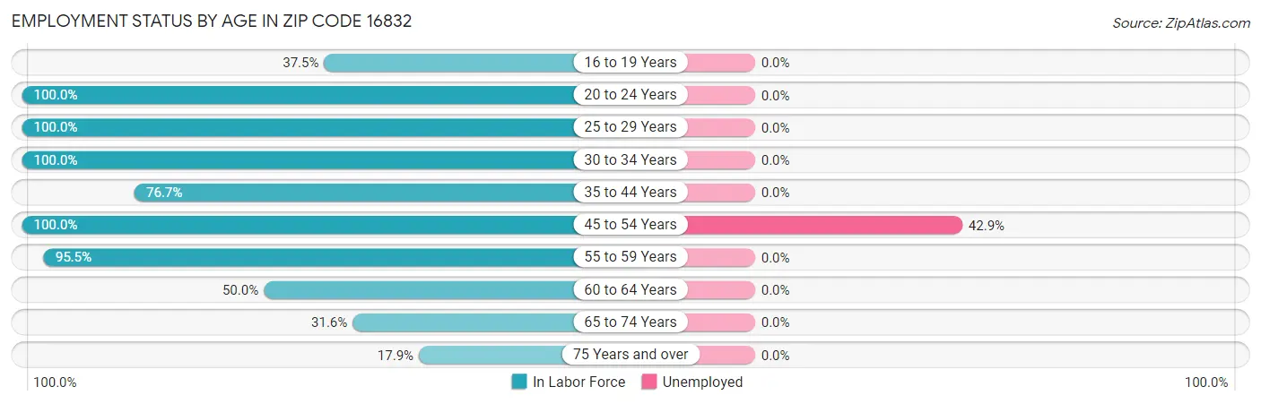 Employment Status by Age in Zip Code 16832