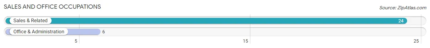 Sales and Office Occupations in Zip Code 16832