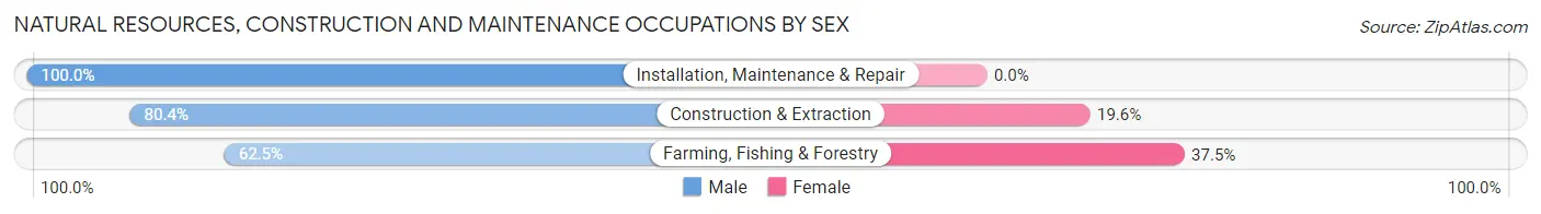 Natural Resources, Construction and Maintenance Occupations by Sex in Zip Code 16833