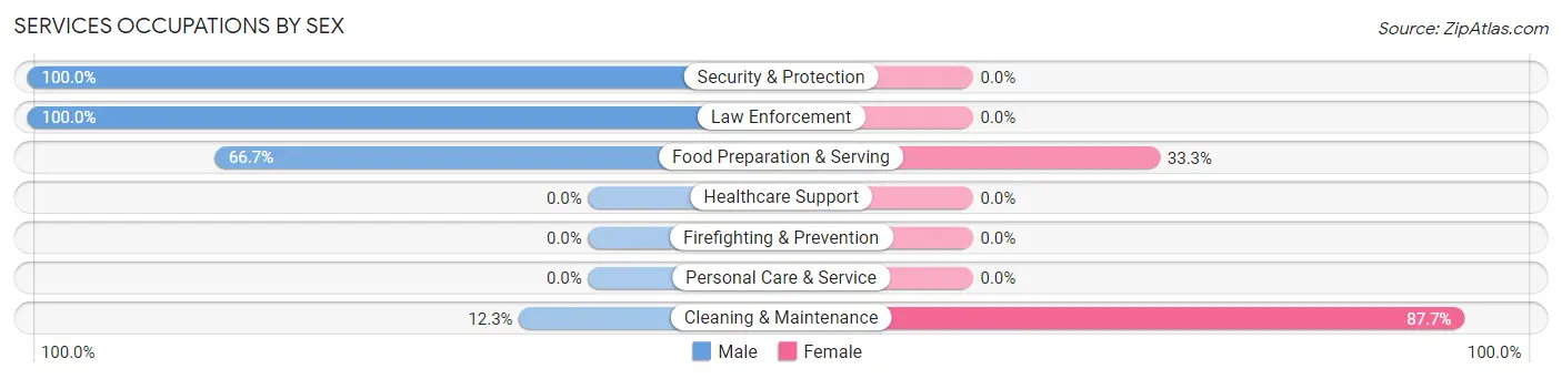 Services Occupations by Sex in Zip Code 16834