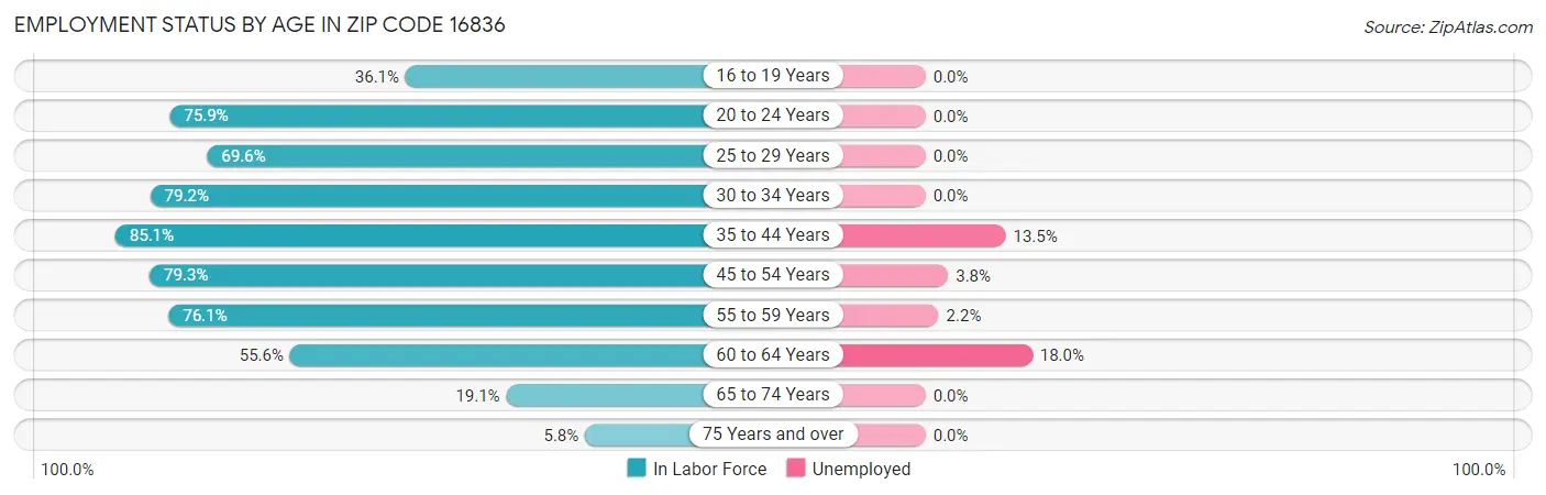 Employment Status by Age in Zip Code 16836
