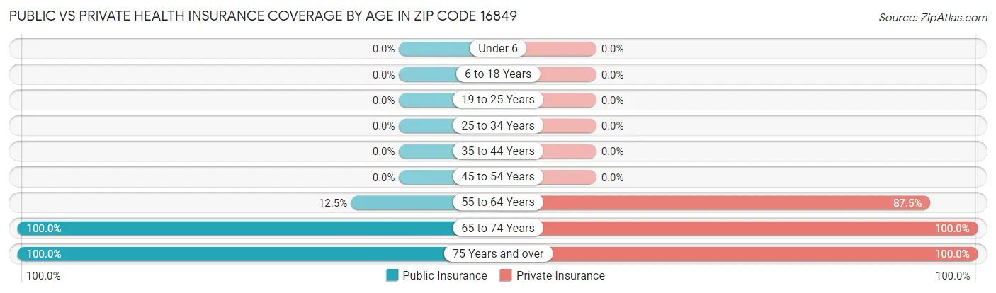 Public vs Private Health Insurance Coverage by Age in Zip Code 16849