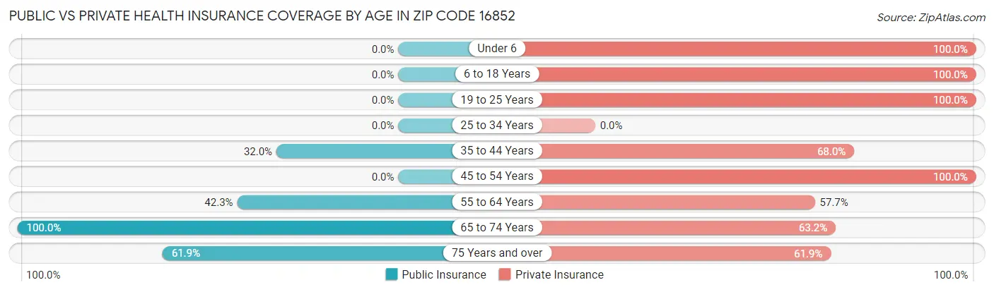 Public vs Private Health Insurance Coverage by Age in Zip Code 16852