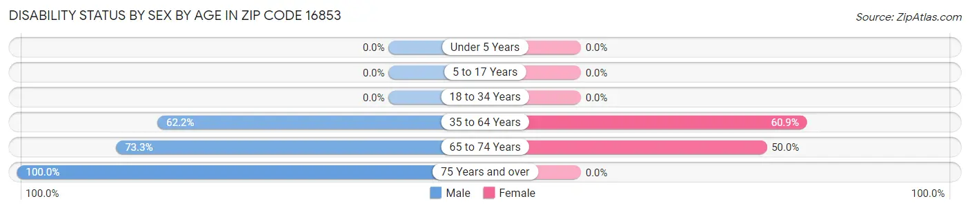 Disability Status by Sex by Age in Zip Code 16853
