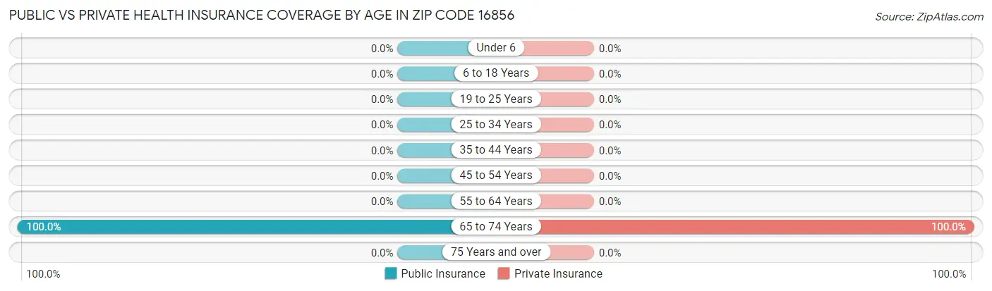 Public vs Private Health Insurance Coverage by Age in Zip Code 16856