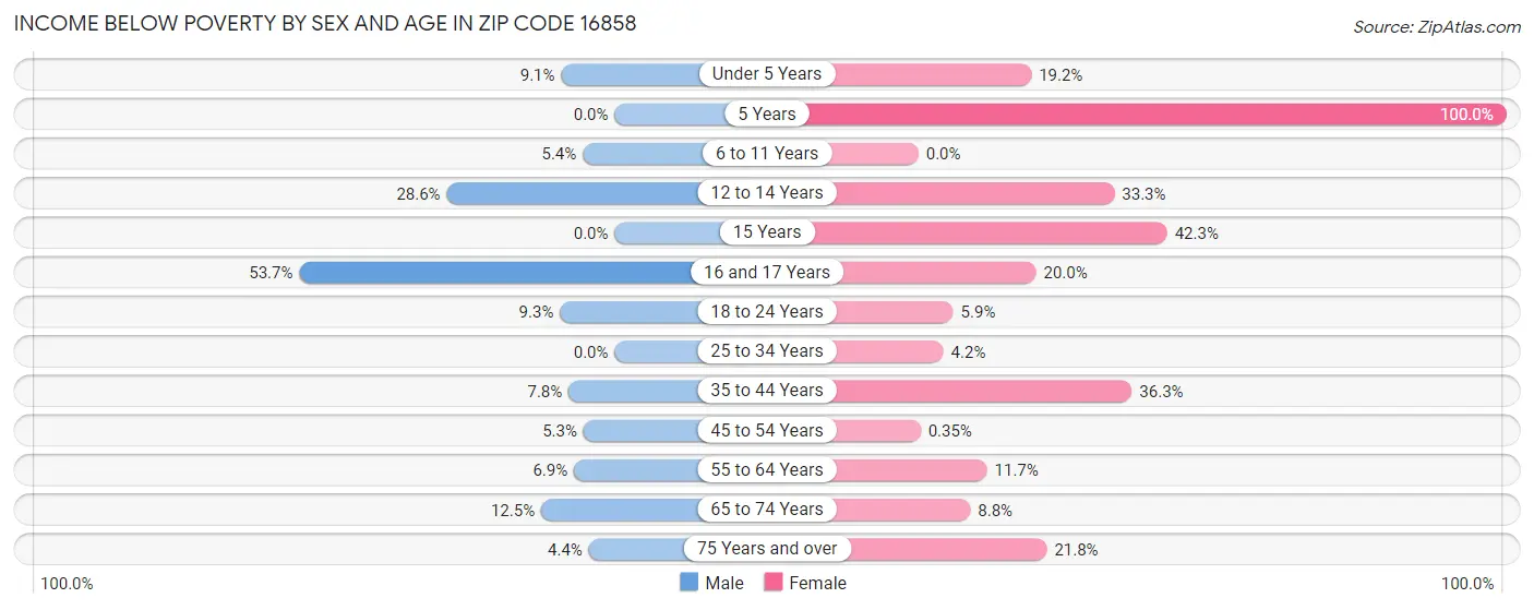 Income Below Poverty by Sex and Age in Zip Code 16858