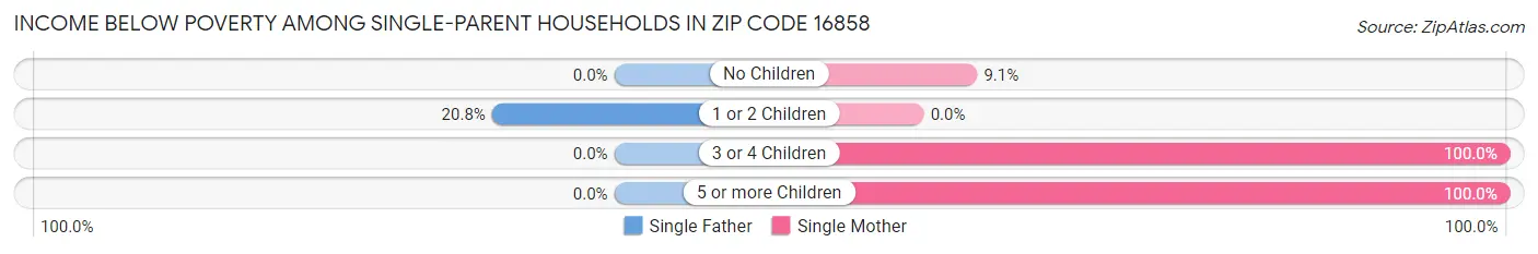 Income Below Poverty Among Single-Parent Households in Zip Code 16858