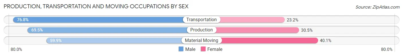 Production, Transportation and Moving Occupations by Sex in Zip Code 16858