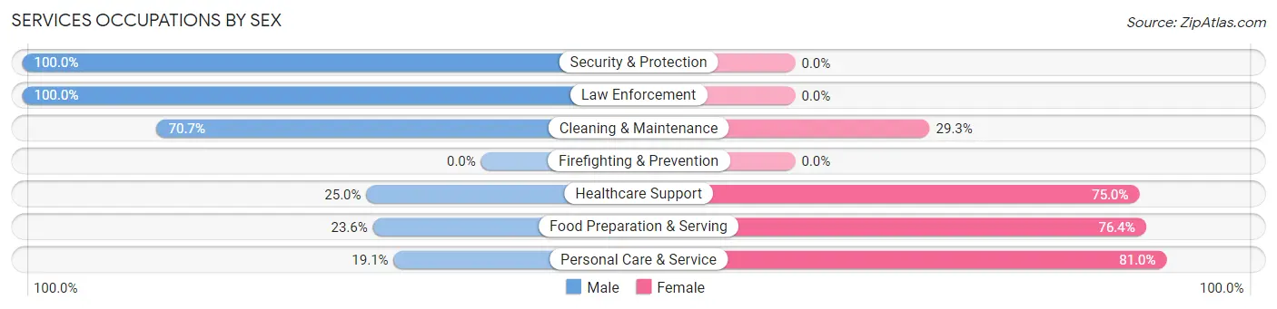 Services Occupations by Sex in Zip Code 16858