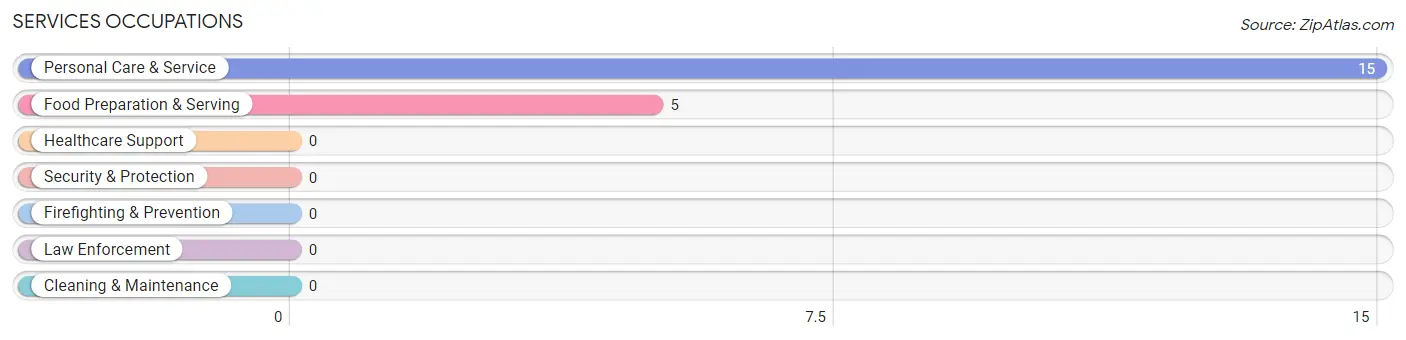 Services Occupations in Zip Code 16861