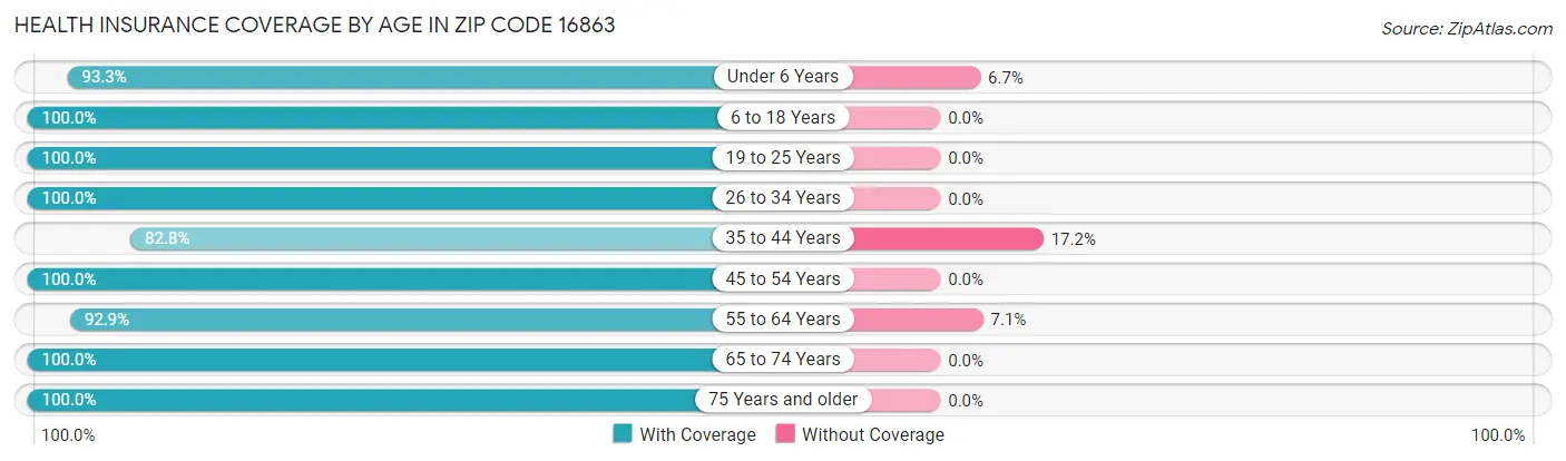 Health Insurance Coverage by Age in Zip Code 16863