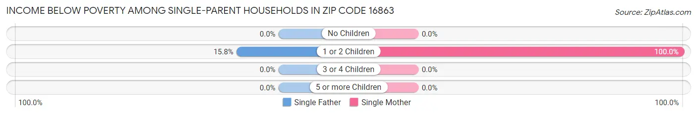 Income Below Poverty Among Single-Parent Households in Zip Code 16863