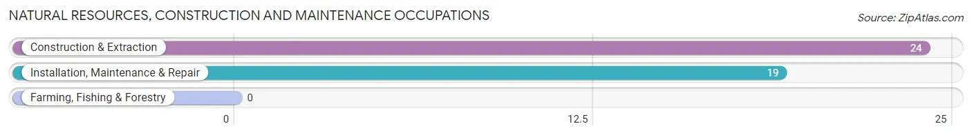 Natural Resources, Construction and Maintenance Occupations in Zip Code 16863