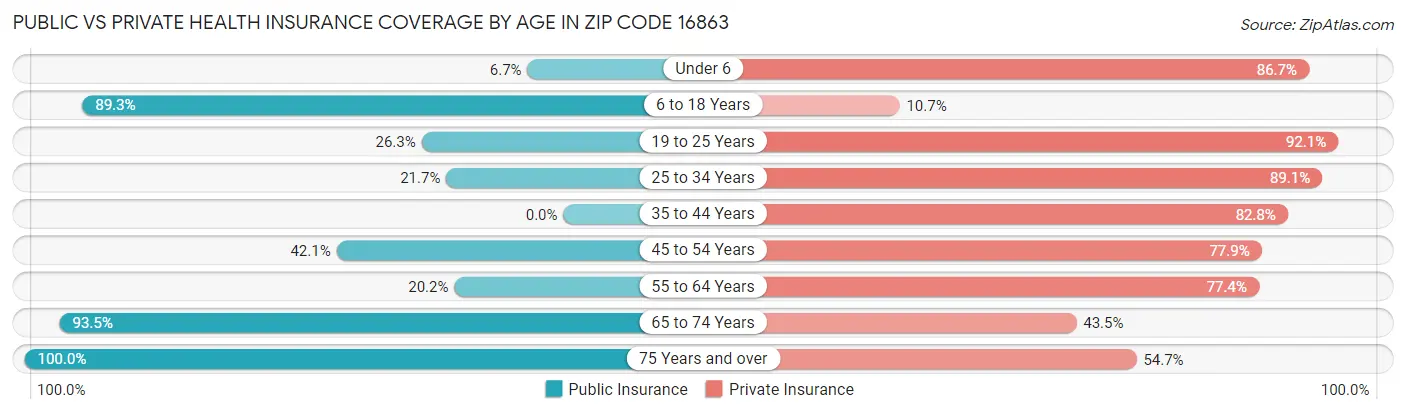 Public vs Private Health Insurance Coverage by Age in Zip Code 16863