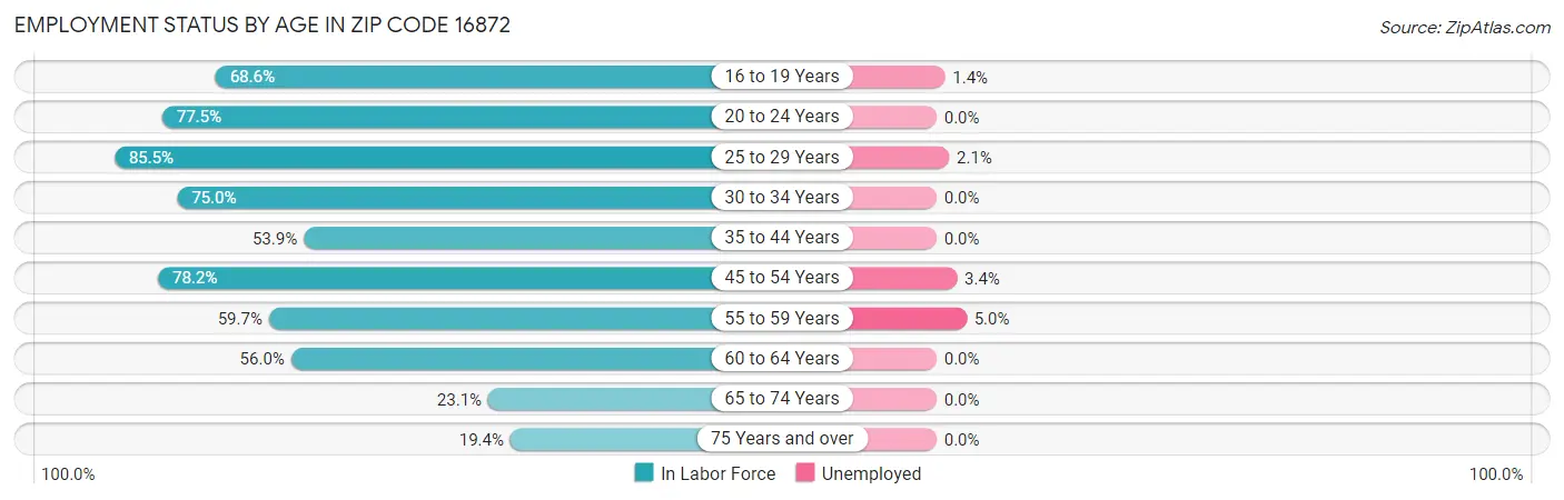 Employment Status by Age in Zip Code 16872