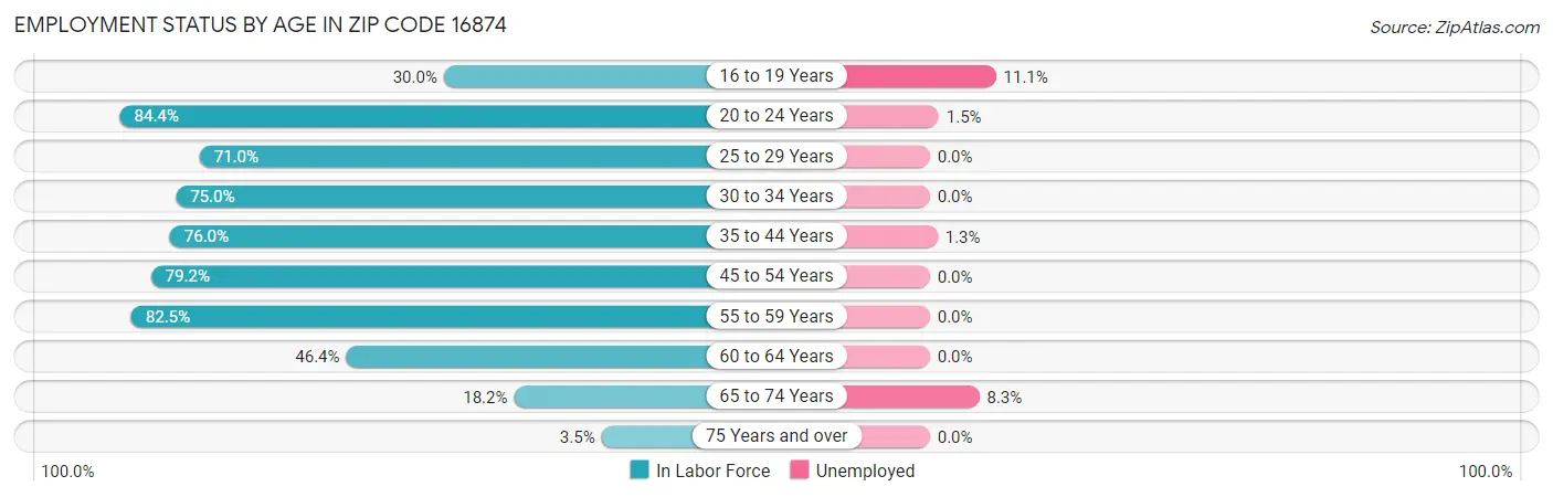 Employment Status by Age in Zip Code 16874