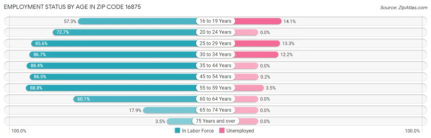 Employment Status by Age in Zip Code 16875