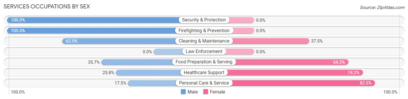 Services Occupations by Sex in Zip Code 16875