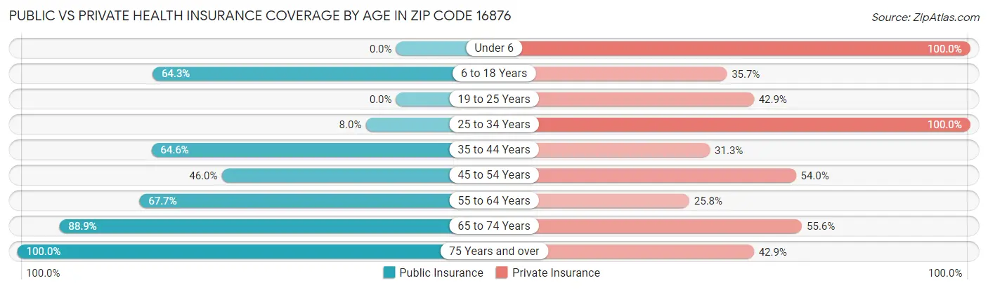 Public vs Private Health Insurance Coverage by Age in Zip Code 16876