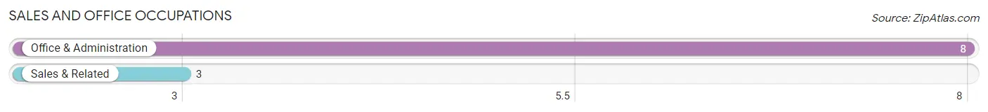 Sales and Office Occupations in Zip Code 16876